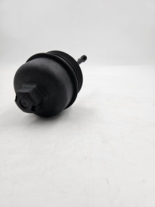 CAP COMPLETE-OIL FIL | 263152A500
