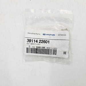 BOLT-SAFETY LOCK | 3911422601