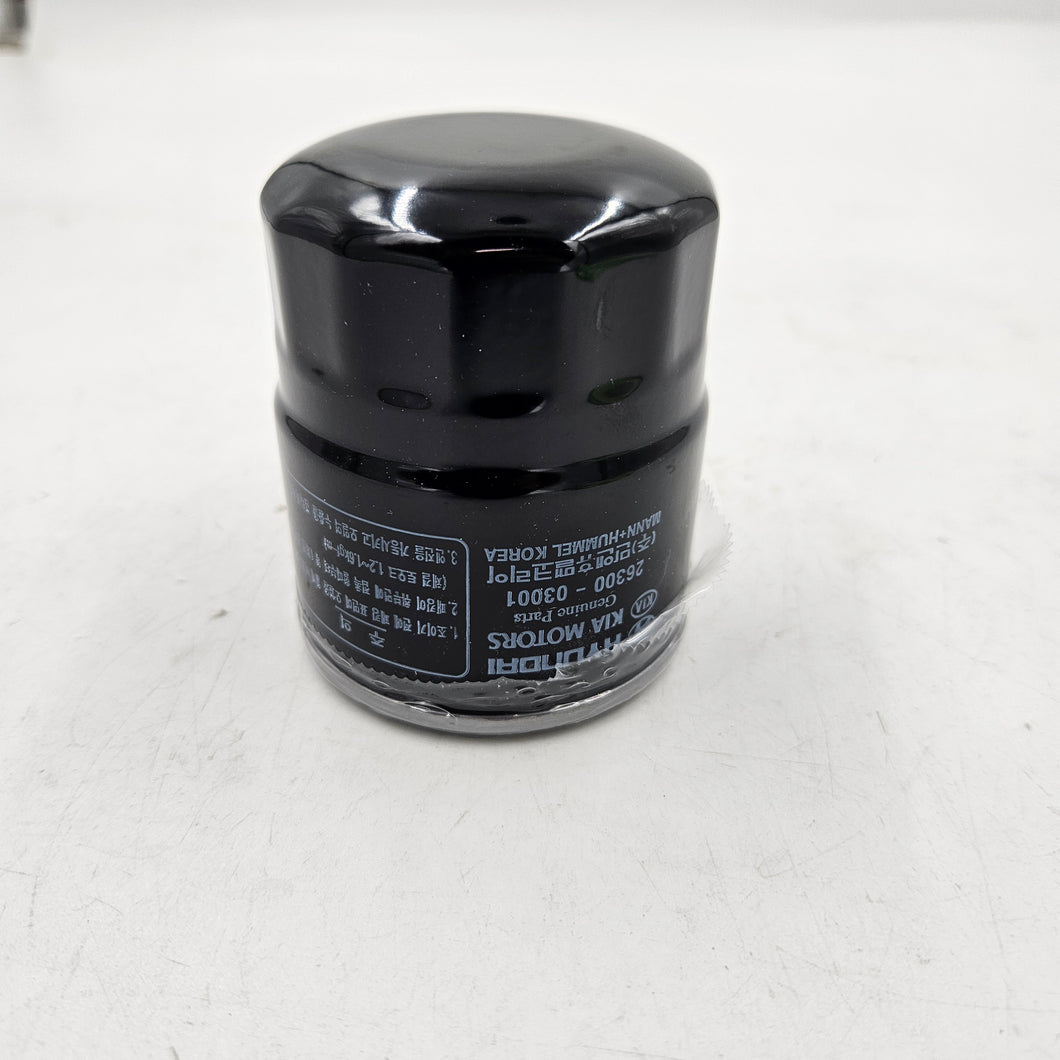 FILTER ASSY-ENGINE O | 2630003001