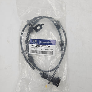 CABLE ASSY-ABS.EXT L | 919200X000