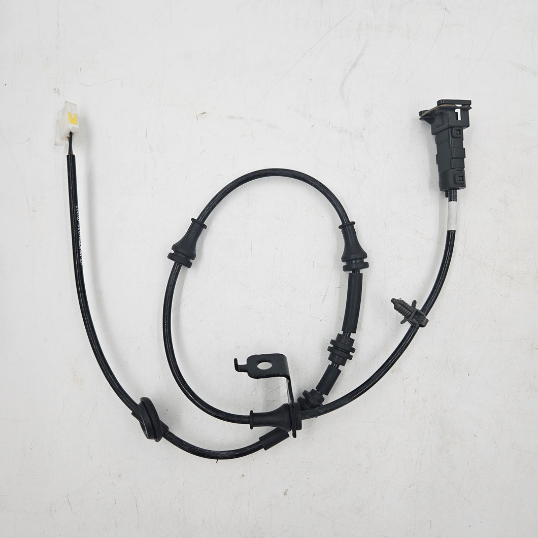 CABLE ASSY-ABS.EXT L | 919200X000