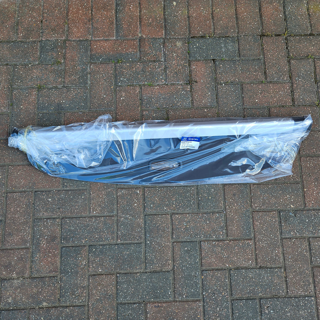 SCREEN ASSY-CARGO | 85930G4700TRY