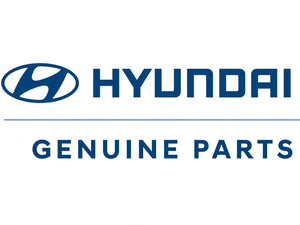 RUBBER MAT IONIQ HYB | G2131ADU10