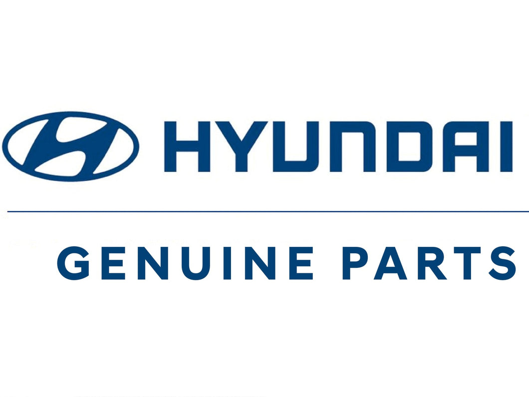 RUBBER MAT IONIQ HYB | G2131ADU10
